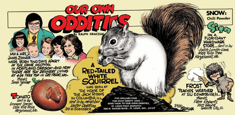 Our Own Oddities